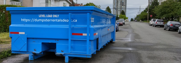 Dumpster Rentals Professional Tips